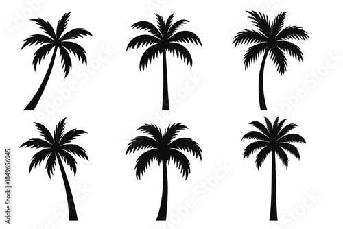 Palm Tree Silhouette Montage