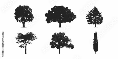 Silhouettes of various tree types against a stark white background