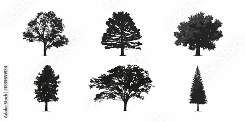A collection of six silhouetted trees in varying shapes and sizes
