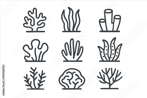 Set of nine ocean plant icons in a minimalist outline style