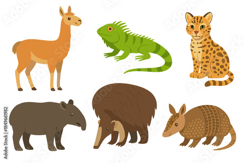 South American Animals Collection