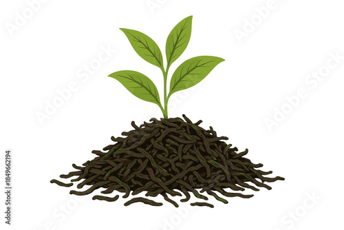 Glowing Green Sprout Emerging from Dark Roots