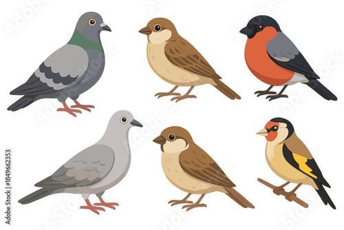 Six Birds of Different Species