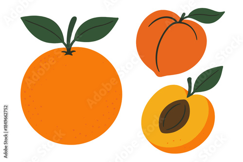 Orange and Apricot Still Life