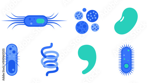 Vibrant Illustration of Diverse Microorganisms and Bacteria in White Space.