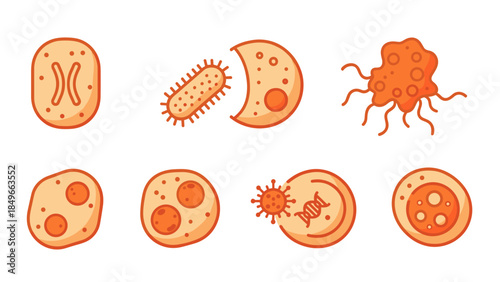 Cartoon illustration of diverse microscopic cells and microorganisms.