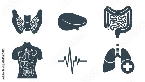 Collection of medical anatomy symbols representing brain, heart, lungs, and digestive organs in a schematic health illustration.