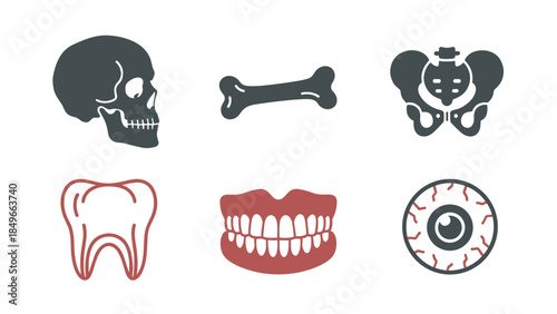 Collection of medical anatomy icons featuring skull, bones, teeth and eye illustrations for educational use.