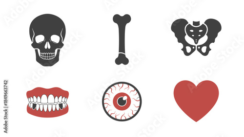 Descriptive collection of macabre icons featuring skull, bones, eye, teeth, and heart in basic vector illustrations.