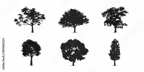 Silhouettes of diverse trees a collection of black shapes on white background