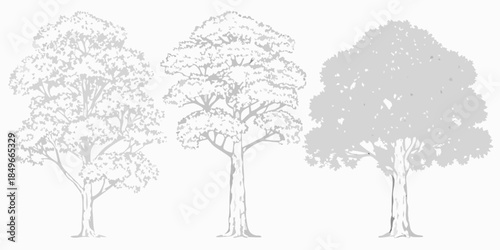 Three grayscale trees in a row depicting varying degrees of foliage density