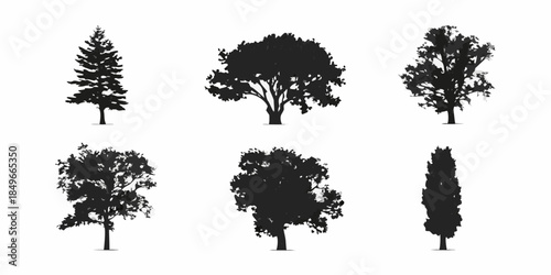 Silhouettes of various trees and foliage against a plain white background