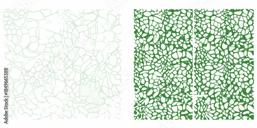 Abstract green patterns two contrasting textures resembling organic cell structures