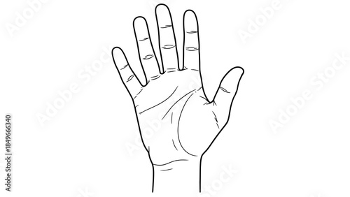 Minimalistic Line Art Illustration of an Open Human Hand