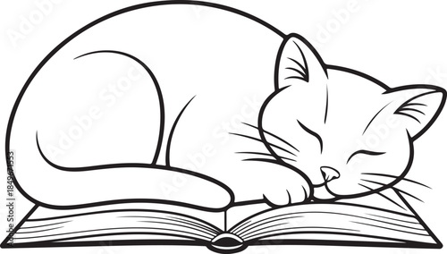 Cat sleeping on top of a book