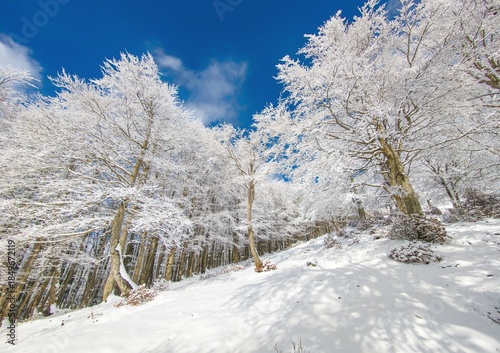 Mount Autore Livata (Subiaco, Italy) - The snow capped peaks mountains in the province of Roma, Lazio region, in Simbruini mounts. Here a beautiful white landscape.