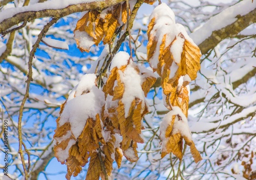 Mount Autore Livata (Subiaco, Italy) - The snow capped peaks mountains in the province of Roma, Lazio region, in Simbruini mounts. Here a beautiful white landscape.