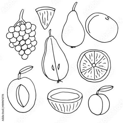 Fruits set of elements, hand drawing, vector illustration
