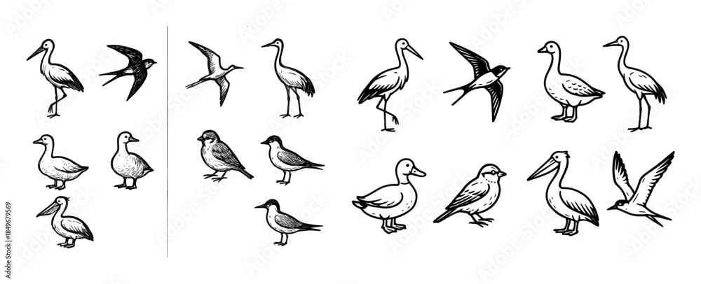 Fototapeta premium Migratory Birds Icons