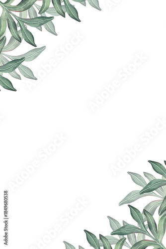 Vertical frame made of peony leaves. Hand-painted watercolor illustration isolated on white for printing, branding, invitation, packaging, stationery, modern botanical design projects.