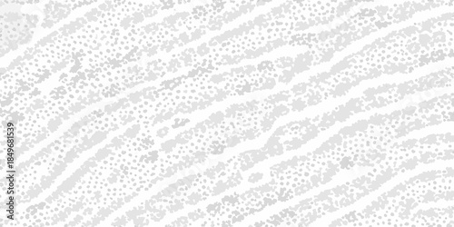 Abstract grayscale pattern of dots and stripes resembling a textured surface