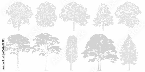 A collection of grayscale tree silhouettes depicting various species and shapes