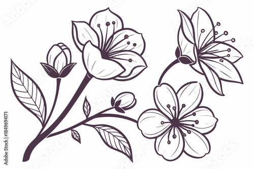Hand Drawn Style Flower Icons  Vector   Pure White (1) Vector Illustration Isolated on White Background