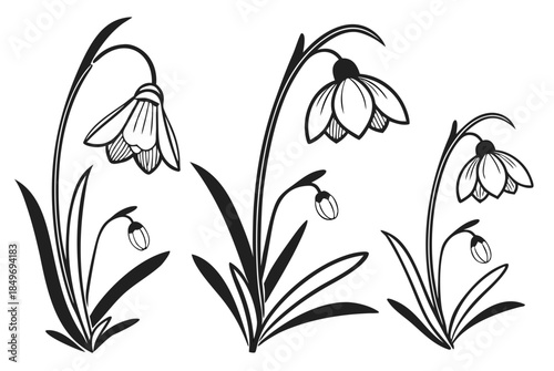 Nature Inspired Floral Icons  Clean Vector Art  Pu (1) Vector Illustration Isolated on White Background