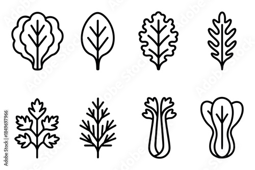 Vegetable Icon Set