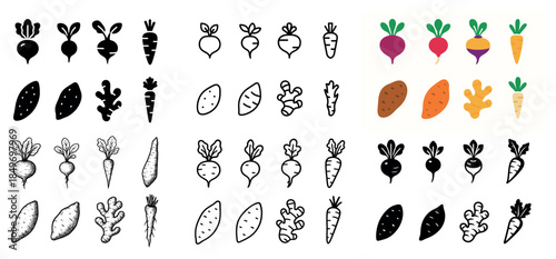 Colorful and black-and-white vegetable illustrations