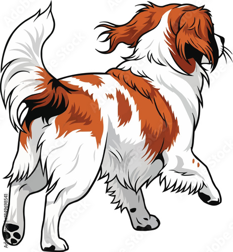 Kooikerhondje dog running away furry cute movement