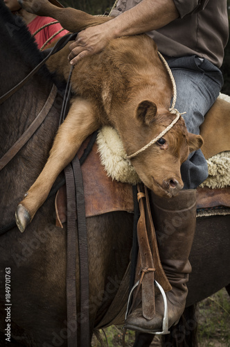 Gaucho, Patagonie Argentine 
