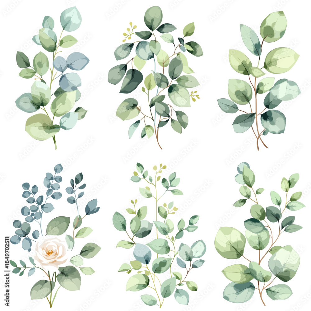 Obraz premium set of green leaves