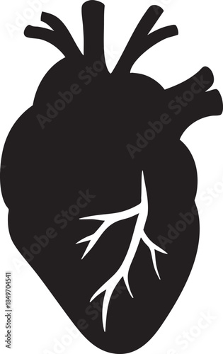 Stylized silhouette of human heart with branching vessels, ideal for medical, anatomical, and educational themes