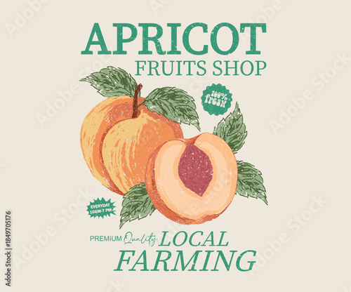 Apricot fruit shop. Fresh peach fruit print. Organic fruit artwork for for t-shirt.