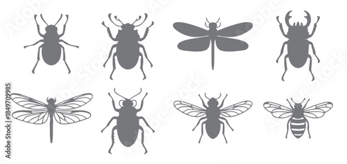 nine gray insect silhouettes stag beetle dragonfly and bee 