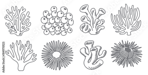 nine gray scale hand drawn ocean coral reef sea life
