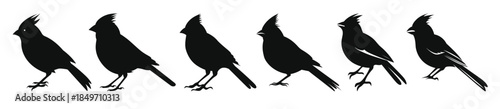 northern cardinal bird silhouettes vector set set