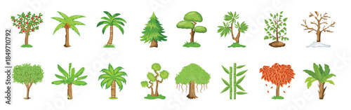 pack of trees flat illustrations