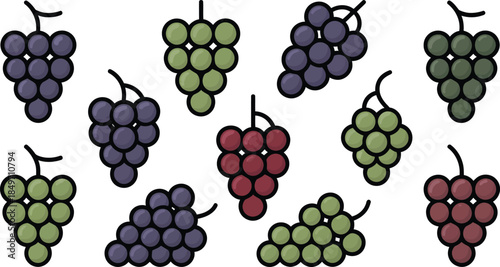 Scattered bunches of grapes in purple green and red hues, sweet juicy berries, perfect for wine making or fresh eating