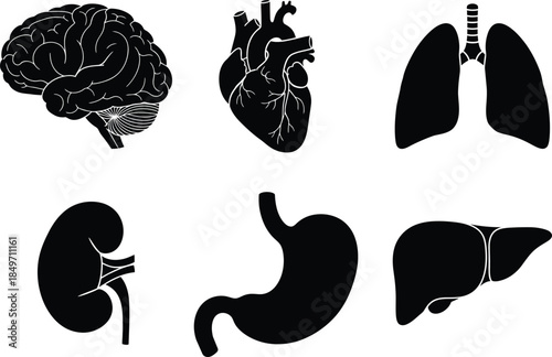 Black silhouettes of essential human internal organs including brain, heart, lungs, kidney, stomach, and liver.