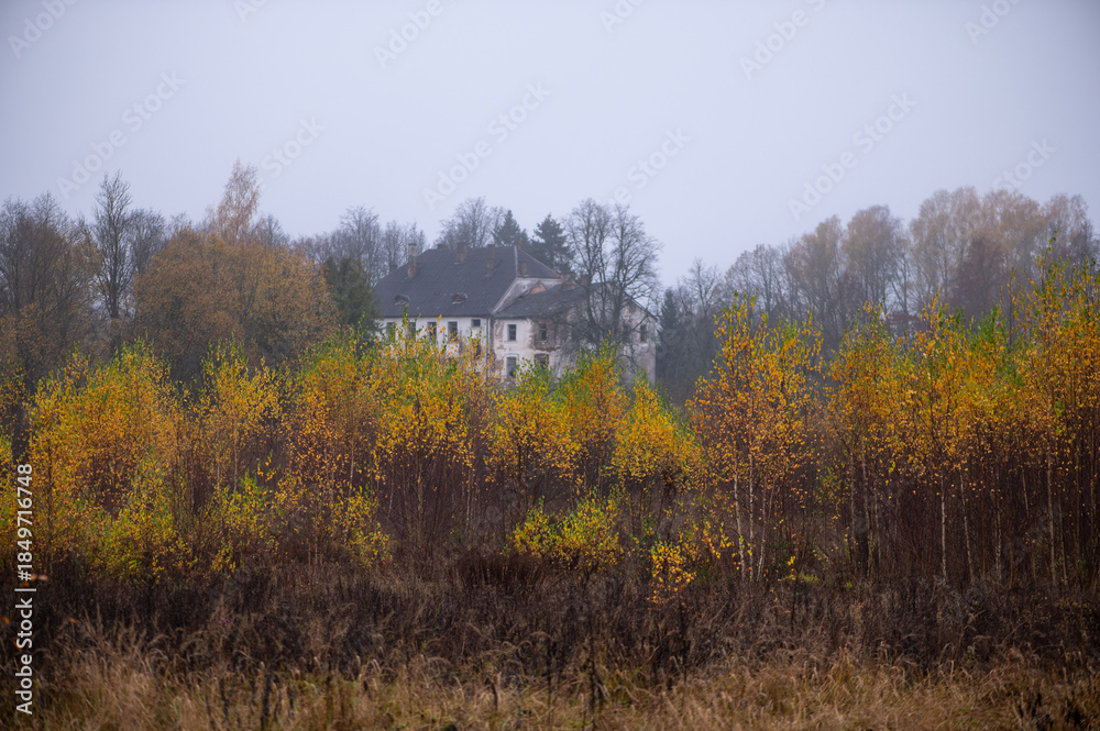 Fototapeta premium Country House Hidden Behind Autumn Shrubs