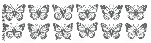 natures grace hand sketched butterfly art collection