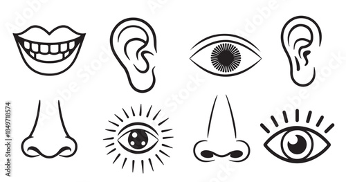 nine black and white line drawings of human sensory organs