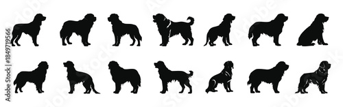 saint bernard silhouette clipart bundle
