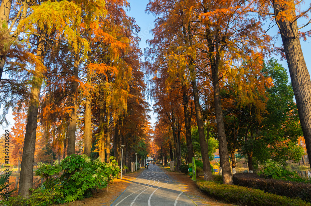 Fototapeta premium Autumn Scenery of East Lake Scenic Area, Wuhan, Hubei, China