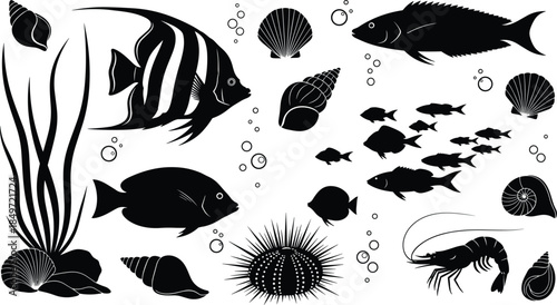 Underwater marine life silhouettes, fish, shrimp, seaweed, seashells, bubbles, ocean creatures, aquatic design, black and white illustration, sea elements