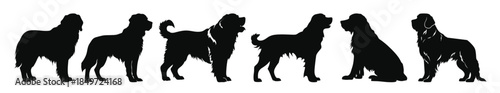 saint bernard dog silhouettes vector set silhouette of dogs