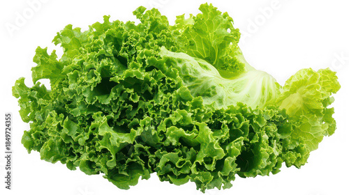 Fresh green curly lettuce leaves isolated on white background

