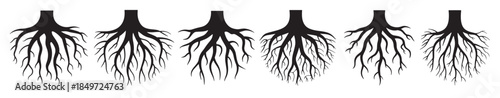 six black silhouetted tree root systems on a white background